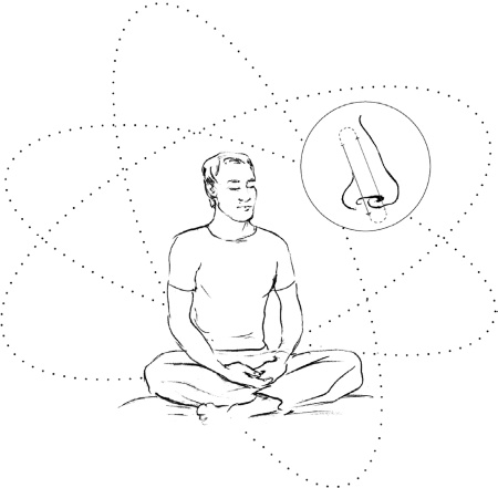 Иллюстрация к книге — Свет ума [i_115.jpg]