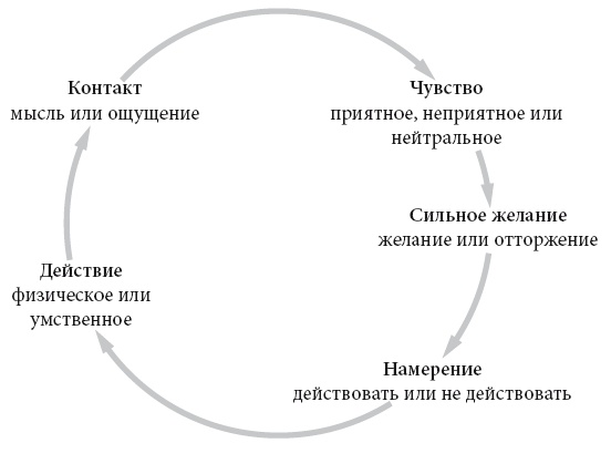 Иллюстрация к книге — Свет ума [i_116.jpg]