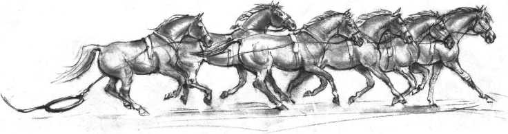 Иллюстрация к книге — Свет ума [i_119.jpg]