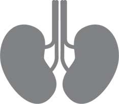 Иллюстрация к книге — Дикий гормон [i_001.jpg]