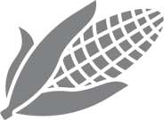 Иллюстрация к книге — Дикий гормон [i_033.jpg]