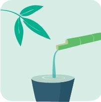 Иллюстрация к книге — Сидзэн. Искусство жить и наслаждаться [i_018.jpg]