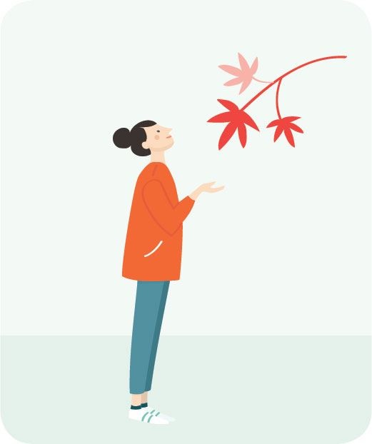 Иллюстрация к книге — Сидзэн. Искусство жить и наслаждаться [i_024.jpg]