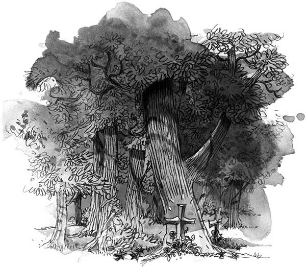 Иллюстрация к книге — Кристалл времени [i_048.jpg]