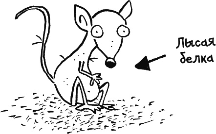 Иллюстрация к книге — Дневник «Эпик Фейл»: допущены ошибки [_022.jpg]