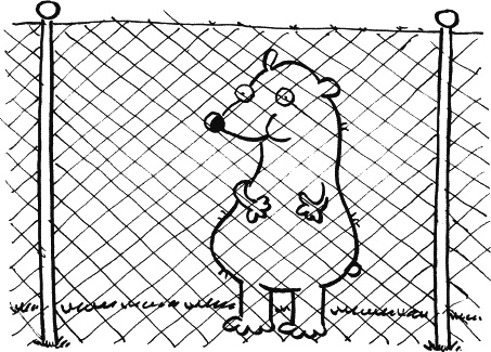 Иллюстрация к книге — Дневник «Эпик Фейл»: допущены ошибки [_039.jpg]