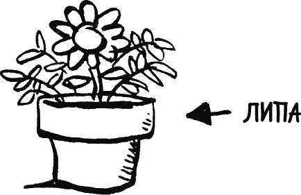 Иллюстрация к книге — Дневник «Эпик Фейл»: допущены ошибки [_182.jpg]