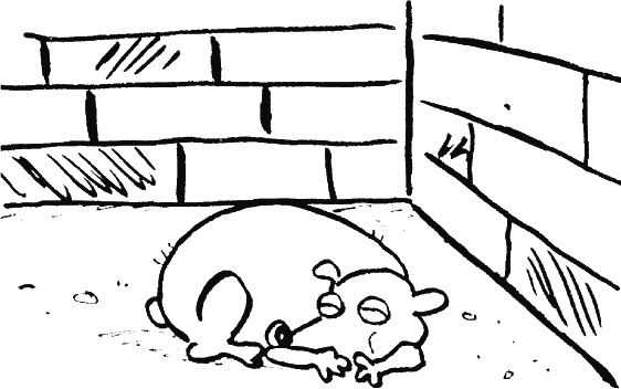 Иллюстрация к книге — Дневник «Эпик Фейл»: допущены ошибки [_269.jpg]