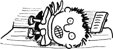 Иллюстрация к книге — Дневник «Эпик Фейл»: допущены ошибки [_276.jpg]