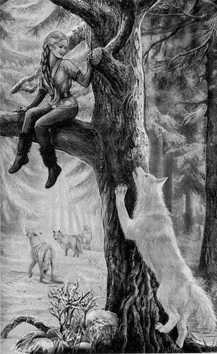 Иллюстрация к книге — Сердце Стужи [i_004.jpg]