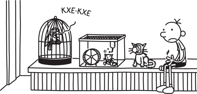 Иллюстрация к книге — Дневник слабака. Долгая дорога [i_190.jpg]