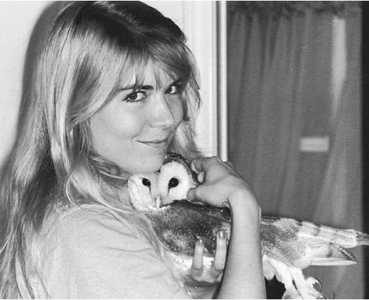 Иллюстрация к книге — Сова по имени Уэсли [i_020.jpg]