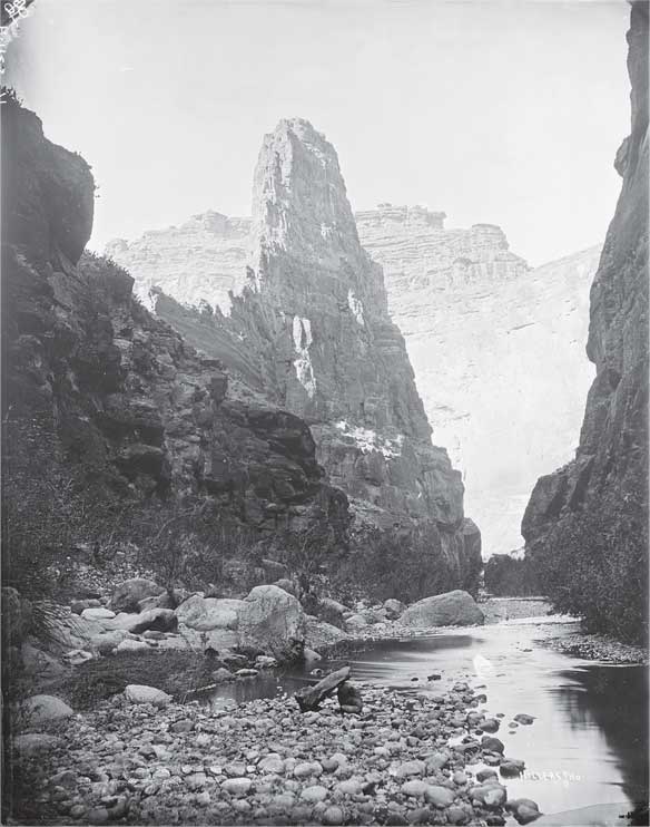 Иллюстрация к книге — Аномалия [i_003.jpg]