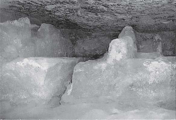 Иллюстрация к книге — Аномалия [i_007.jpg]