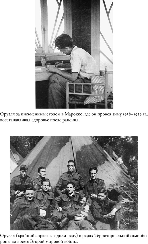 Иллюстрация к книге — Черчилль и Оруэлл [i_004.jpg]