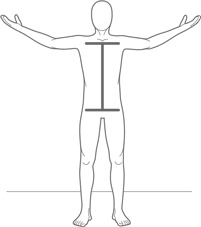 Иллюстрация к книге — Физический интеллект [i_011.jpg]