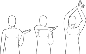 Иллюстрация к книге — Физический интеллект [i_019.jpg]