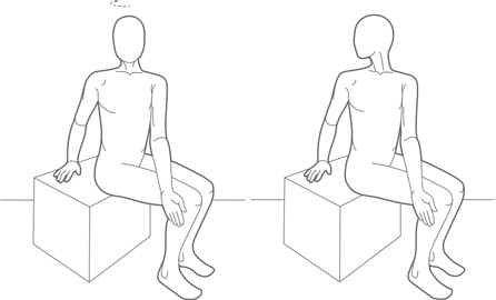 Иллюстрация к книге — Физический интеллект [i_026.jpg]