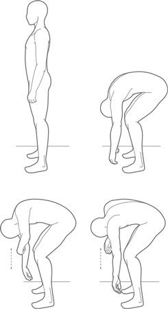 Иллюстрация к книге — Физический интеллект [i_028.jpg]