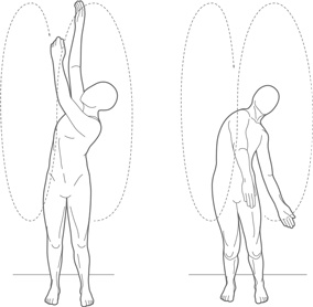 Иллюстрация к книге — Физический интеллект [i_031.jpg]