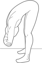 Иллюстрация к книге — Физический интеллект [i_037.jpg]