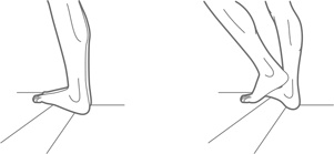 Иллюстрация к книге — Физический интеллект [i_038.jpg]