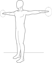 Иллюстрация к книге — Физический интеллект [i_052.jpg]