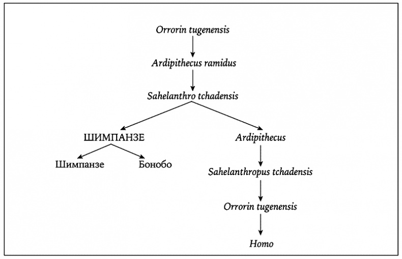 Иллюстрация к книге — История величайшего изобретения. Как начинался язык [i_004.jpg]
