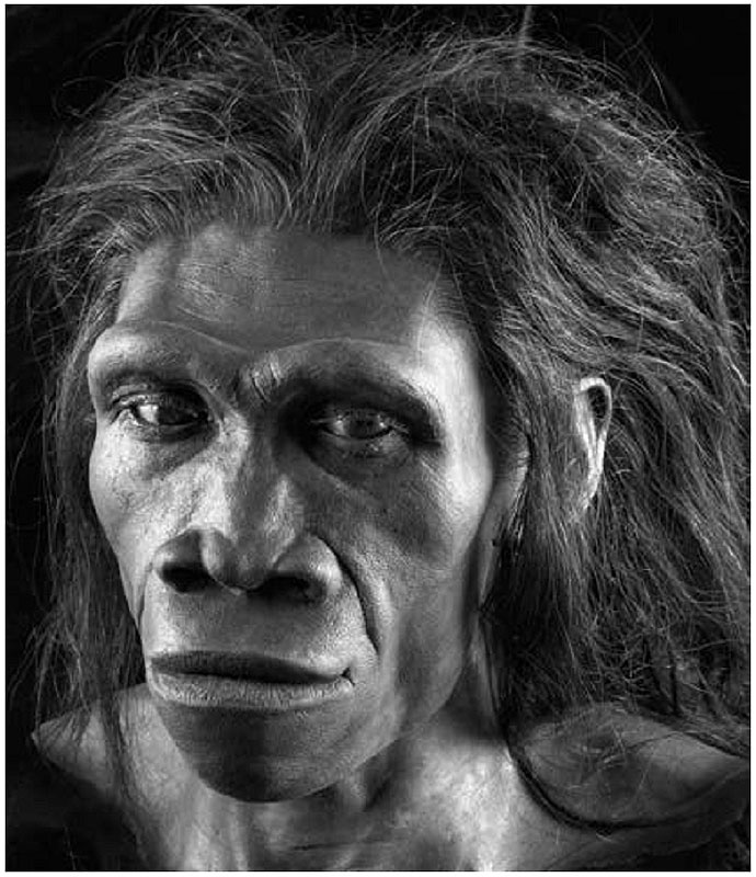 Иллюстрация к книге — История величайшего изобретения. Как начинался язык [i_005.jpg]