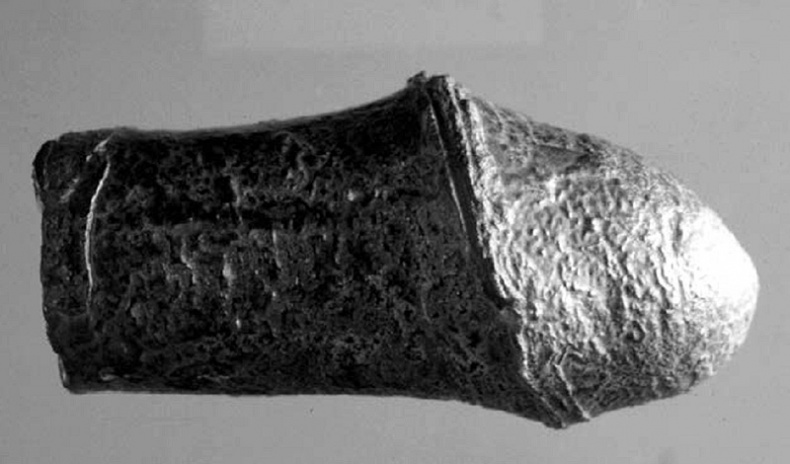 Иллюстрация к книге — История величайшего изобретения. Как начинался язык [i_011.jpg]