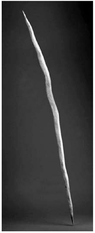 Иллюстрация к книге — История величайшего изобретения. Как начинался язык [i_012.jpg]