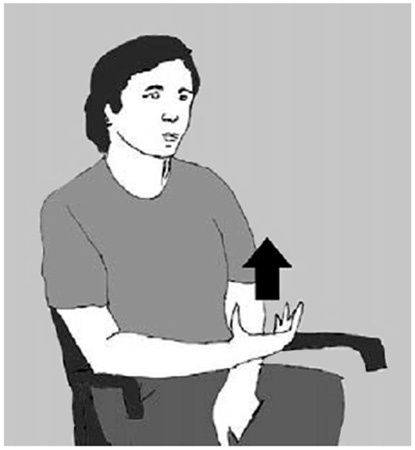 Иллюстрация к книге — История величайшего изобретения. Как начинался язык [i_036.jpg]