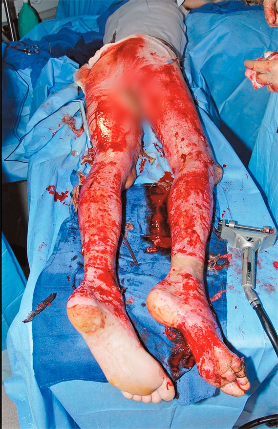 Иллюстрация к книге — Между панк-роком и смертью [i_012.jpg]