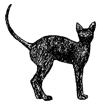 Иллюстрация к книге — Кот для двоих [i_002.jpg]