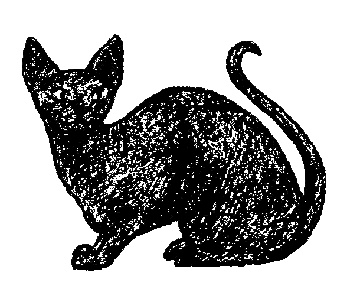 Иллюстрация к книге — Кот для двоих [i_007.jpg]