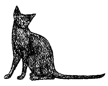 Иллюстрация к книге — Кот для двоих [i_008.jpg]