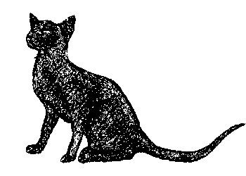 Иллюстрация к книге — Кот для двоих [i_013.jpg]