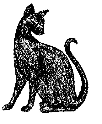 Иллюстрация к книге — Кот для двоих [i_015.jpg]