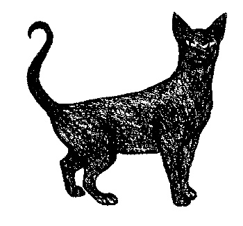 Иллюстрация к книге — Кот для двоих [i_016.jpg]