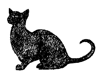 Иллюстрация к книге — Кот для двоих [i_018.jpg]