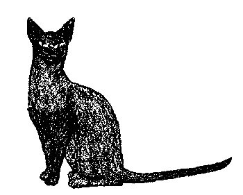 Иллюстрация к книге — Кот для двоих [i_020.jpg]