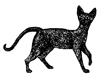 Иллюстрация к книге — Кот для двоих [i_021.jpg]