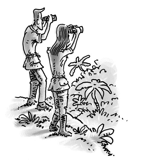 Иллюстрация к книге — Возвращение на остров Ним [i_023.jpg]