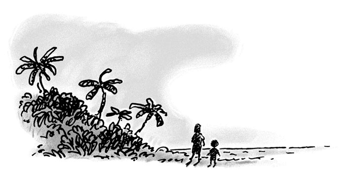 Иллюстрация к книге — Возвращение на остров Ним [i_024.jpg]