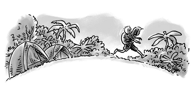 Иллюстрация к книге — Возвращение на остров Ним [i_025.jpg]