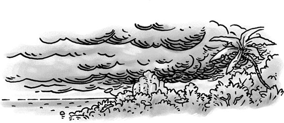 Иллюстрация к книге — Возвращение на остров Ним [i_027.jpg]