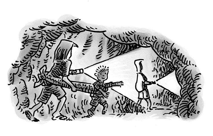 Иллюстрация к книге — Возвращение на остров Ним [i_029.jpg]