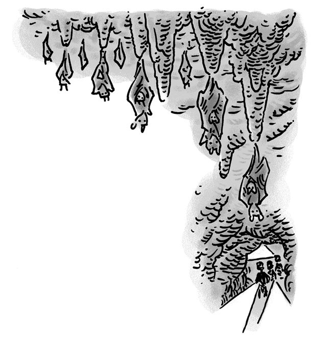 Иллюстрация к книге — Возвращение на остров Ним [i_030.jpg]