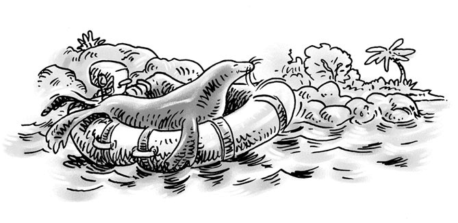 Иллюстрация к книге — Возвращение на остров Ним [i_039.jpg]