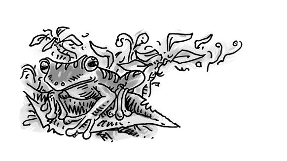 Иллюстрация к книге — Возвращение на остров Ним [i_041.jpg]